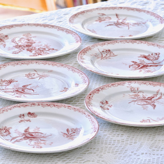 Image 1 of Assiettes Xixe Terre De Fer Rose, Sarreguemines Collection "Fontanges"