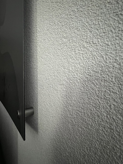 Dipinto su alluminio spazzolato raffigurante una donna con una ragnatela. – wanddecoratie, Aluminium (photo 2 of 5)