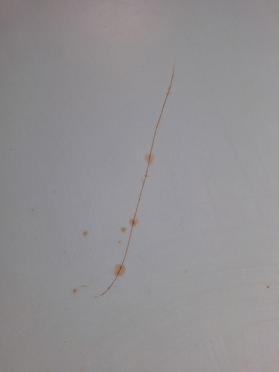 Image 1 of Steel Lloyd table