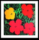 Warhol, Andy - Fleurs - d'après l'original de 1964 - estampe 90x90 cm