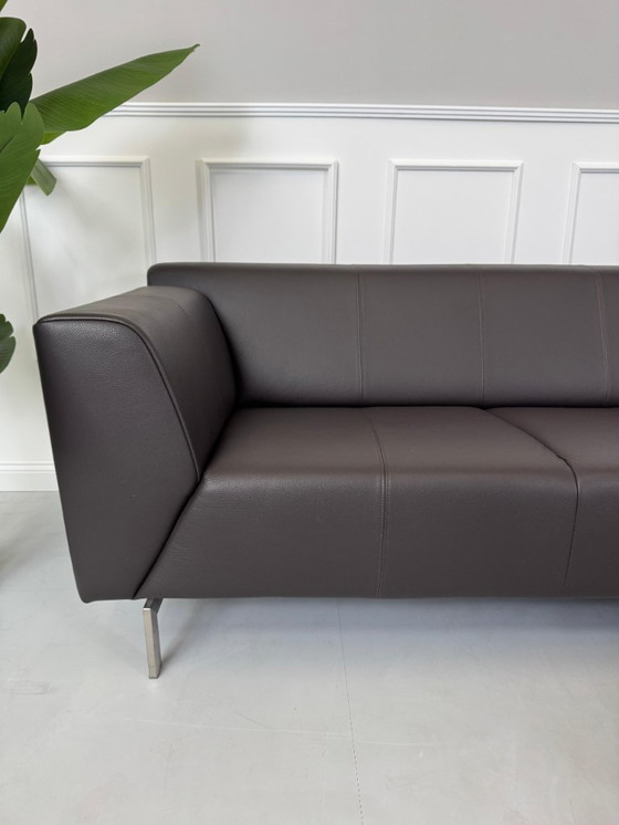 Image 1 of Rolf Benz Linea 318 Sofa Leather Brown Couch Bench 173cm