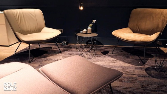 ROLF-BENZ CAMBIO MODEL RUG IN OUTLET -50% – Rolf Benz, Rugs & carpets, Textile (photo 14 of 18)