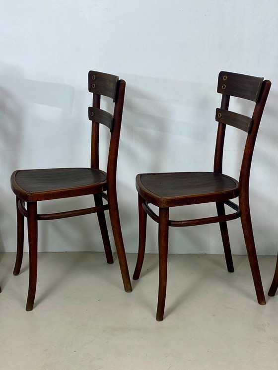 Image 1 of Juego de 4 sillas Thonet de madera de haya – Modelo n.º 651
