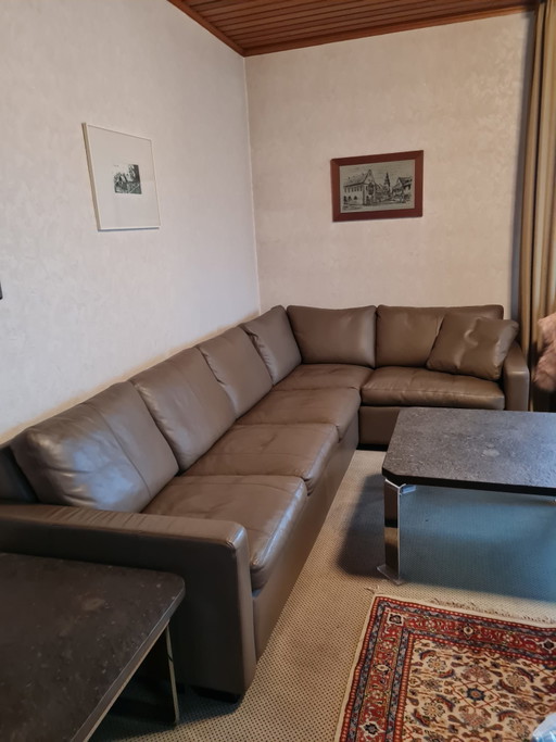COR Conseta Interlübke Leder