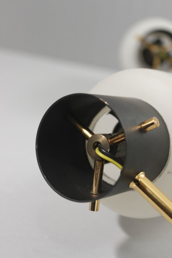 Image 1 of Pareja de apliques de pared de los años 50, diseño Arlus Lunel Guariche Stilnovo