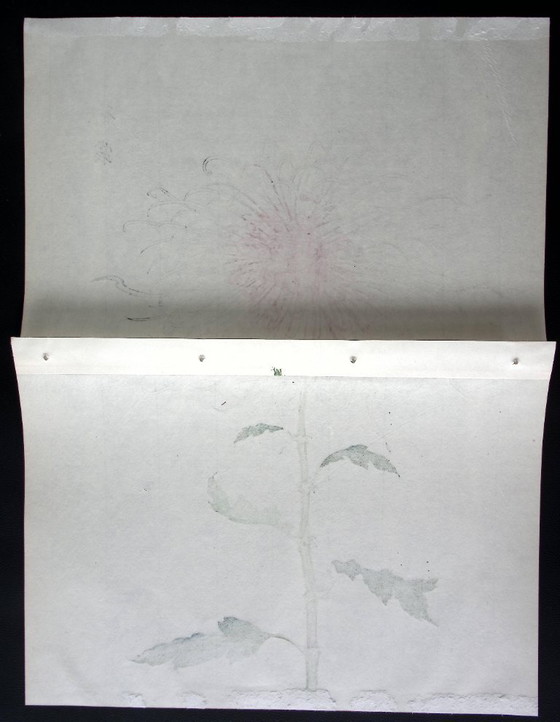 Keika Hasegawa - "One Hundred Chrysanthemums" – Paintings & Drawings, Paper (photo 2 of 8)