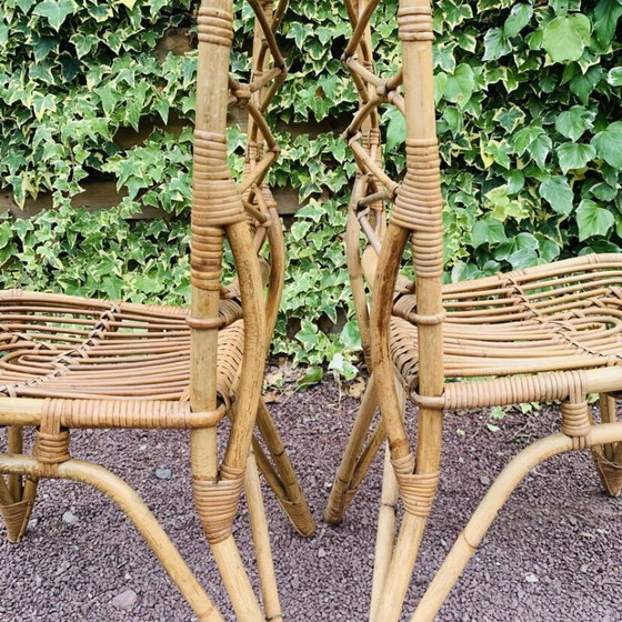 Image 1 of Paar rotan stoelen van Van Rohe