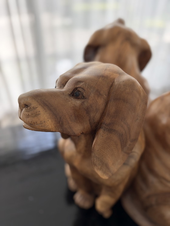 Image 1 of Hundegruppe