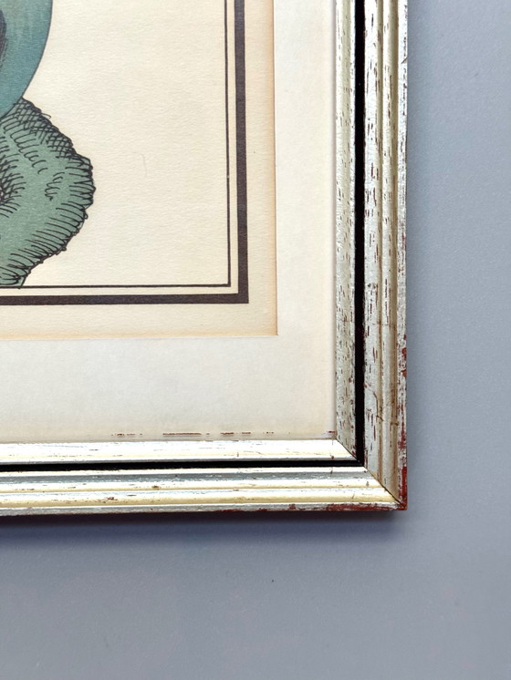 Image 1 of Lithographie ornithologique ancienne, Georges-Louis Leclerc, années 1920, imprimée par Weissenbruch S.A.