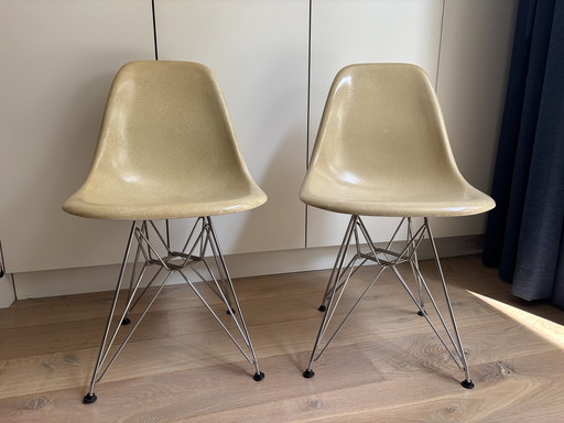 2x Eames Miller Vitra DSW Fiberglas-Beistellstühle – Pergament