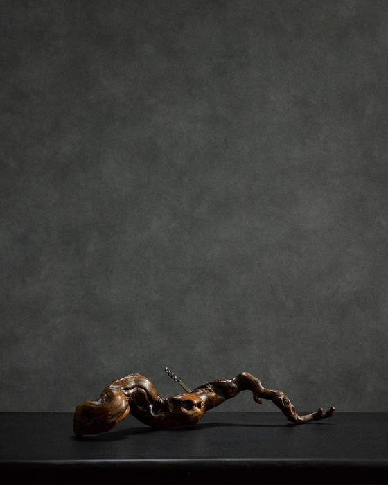 Image 1 of large corkscrew in vine root