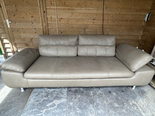Montel bench