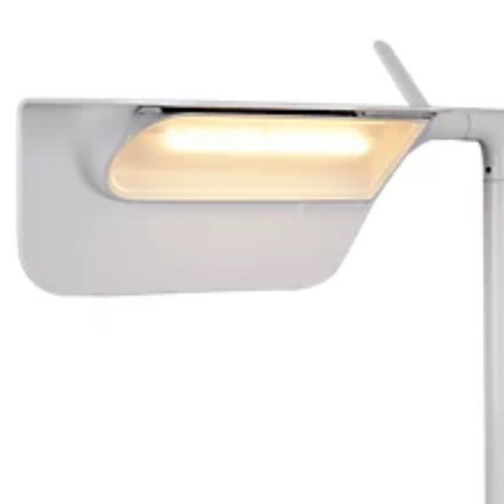 Flos TAB F ( Led) design E. Barber & J.Osgerby – Lampade da terra, Metal, Aluminium (photo 2 of 7)