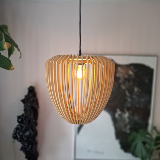 Image 1 of Umage Clava Wood Showroom Model