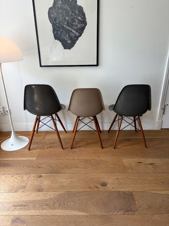 Image 1 of 3 Vintage Eames DSW Fiberglass Stoelen (Herman Miller) – Elephant Grey & Greige – Walnut Base