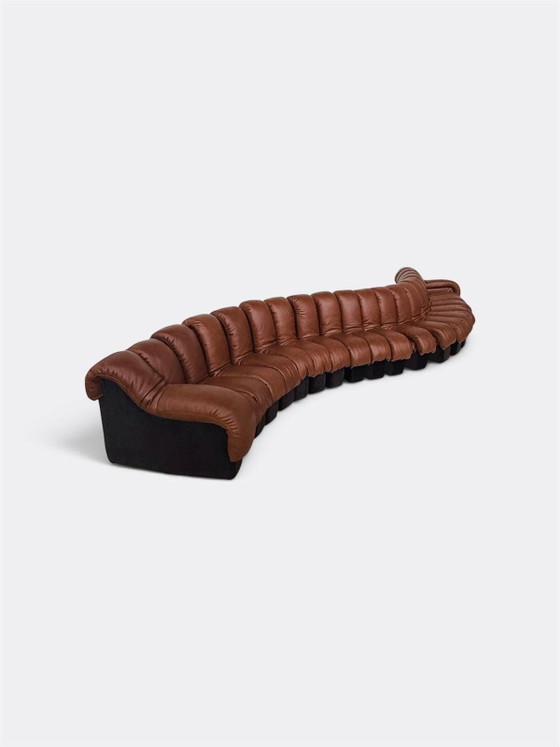 De Sede Ds600 Snake en cuir Cognac, 20 éléments, Canapés modulables, Textile, Marron (photo 9 sur 15)
