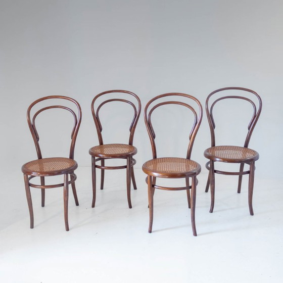 Image 1 of Set van vier eetkamerstoelen uit de jaren 1900, gemaakt van gebogen hout en riet door Josef Hoffmann, met label.