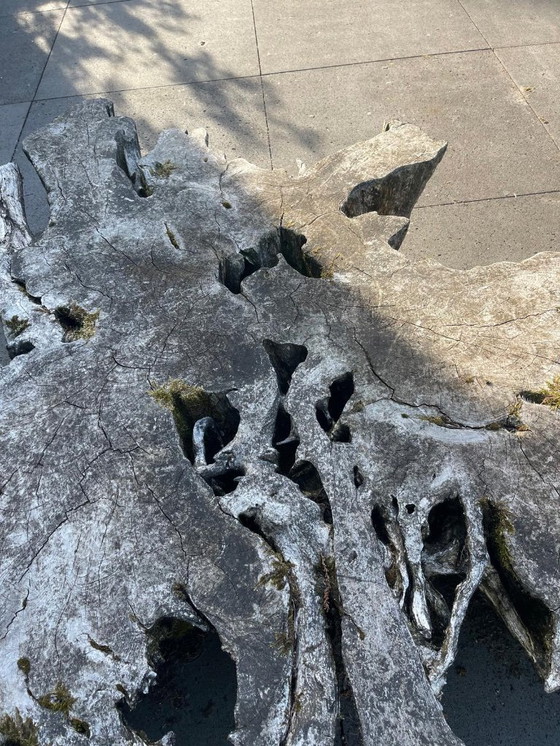 Image 1 of Bellissimo tavolo da esterno in legno