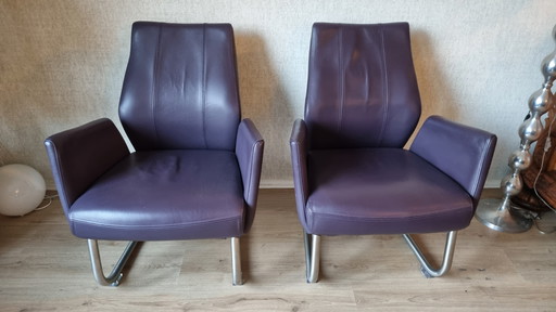 Sedie con struttura tubolare in pelle