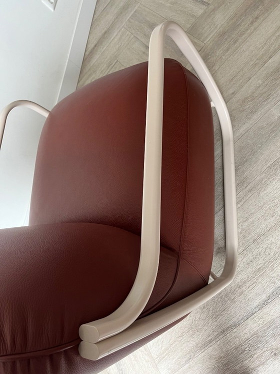 Image 1 of Chap Pode di Leolux in pelle