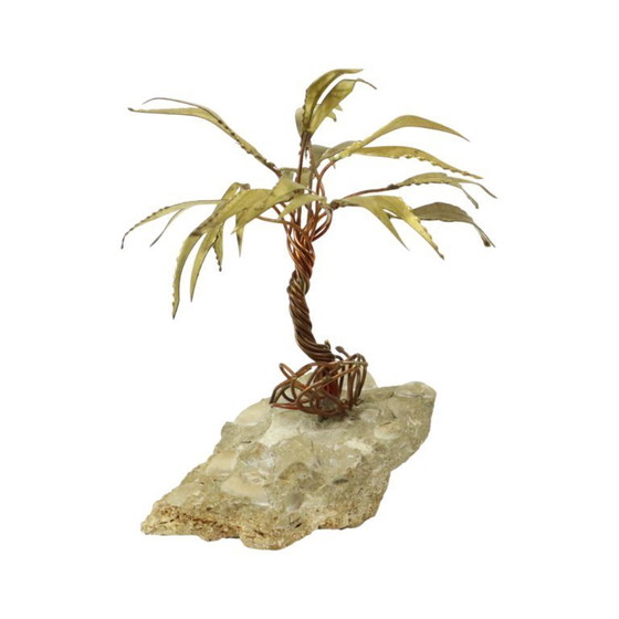 Image 1 of Palma sulla roccia Daniel D'Haeseleer