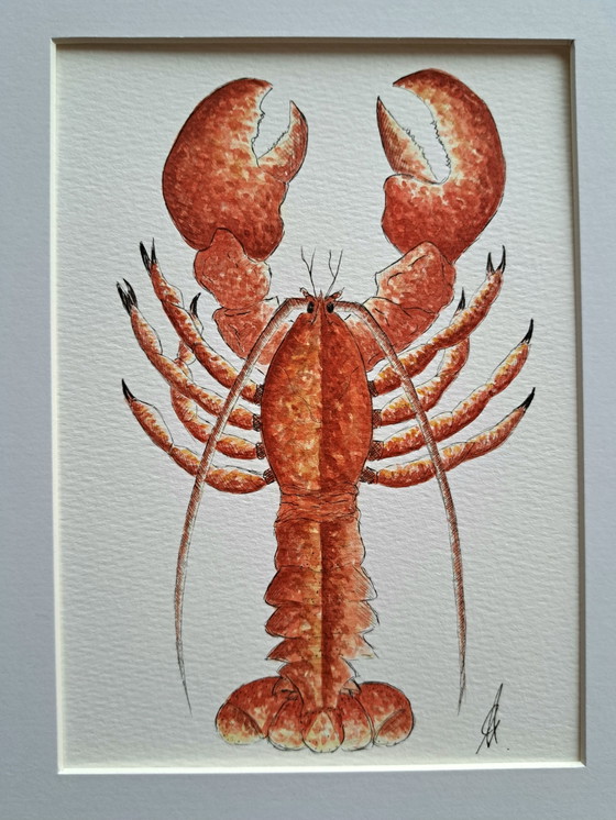 Original watercolor painting lobster | Including frame – Paintings & Drawings, Paper (photo 2 of 5)