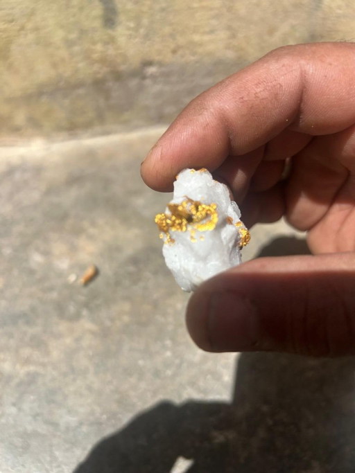 Native Gold on Quartz