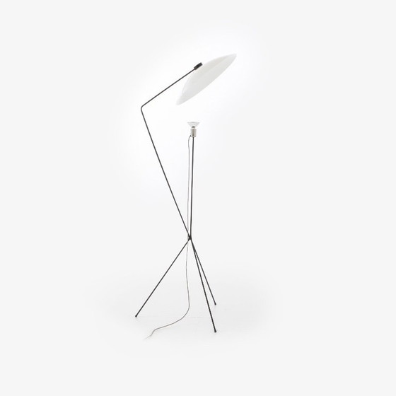 Solveig Floor standard lamp Ligne Roset – Floor lights, Other (photo 3 of 7)