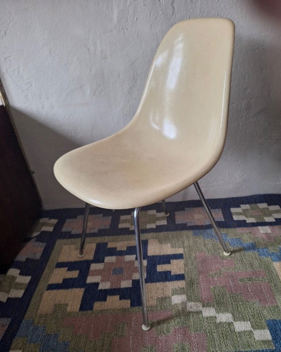 Image 1 of Früher DSX-Fiberglasstuhl von Charles & Ray Eames für Herman Miller, 1950er Jahre