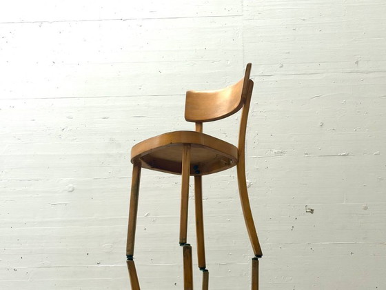 Image 1 of Set van 6 gebogen houten stoelen, gemaakt van massief hout, Thonet ZPM Radomsko, Polen, jaren 1950.