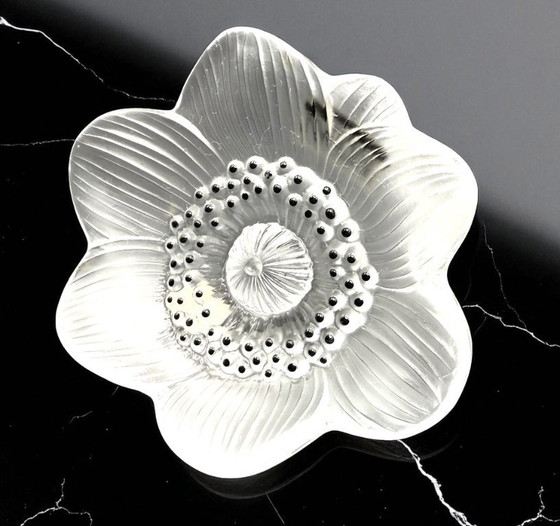 Image 1 of Lalique - Anemoon