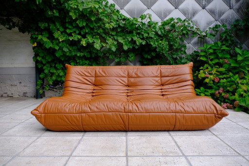 Ligne Roset - Togo - canapé 3 places - cuir cognac