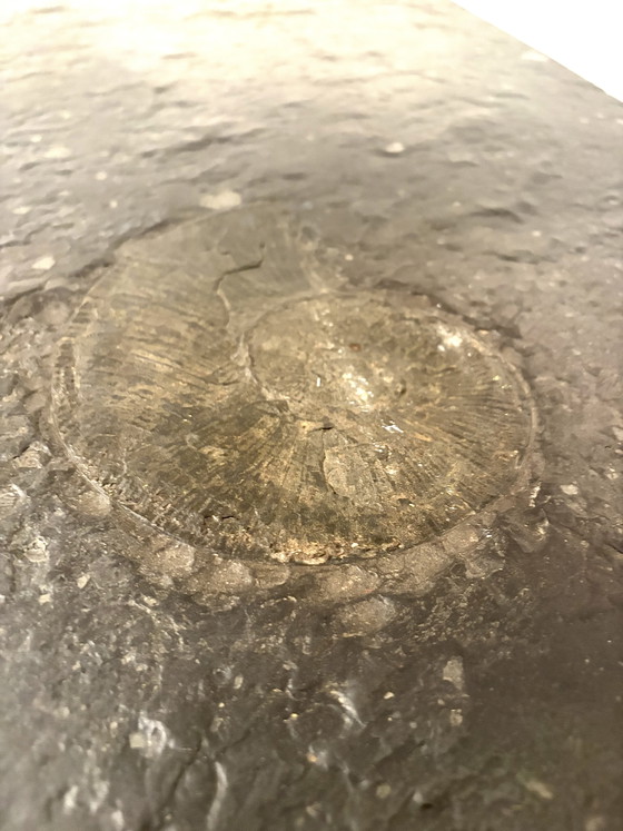 Image 1 of Studio Draenert oil shale slate stone brutalist coffee table 
