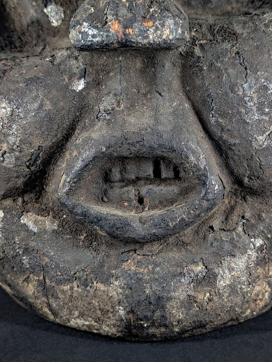 Stemma Janus Bangwa/Bamileke (Troh Night Society) Camerun - 1950 circa – Sculture, Wood (photo 11 of 20)