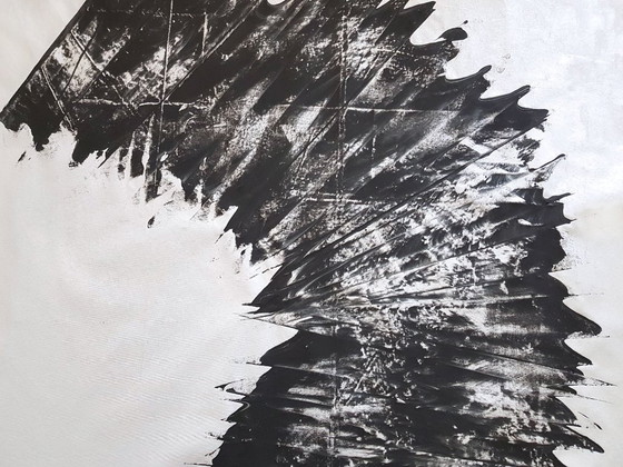 Image 1 of Jürgen Angeler - Zwarte Zilveren Sikkel