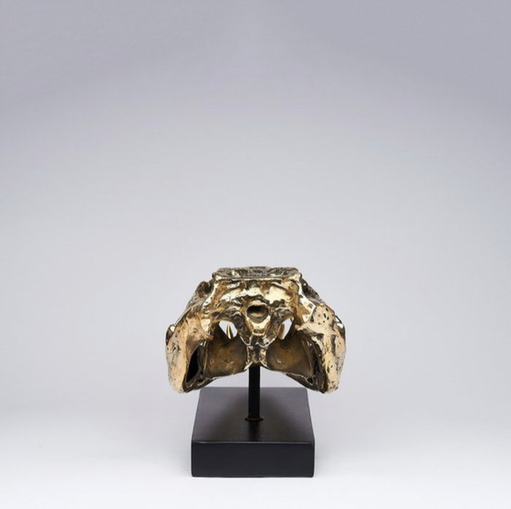 Image 1 of Sooka Sculpture, saltwater crocodile skull 37 cm bronze