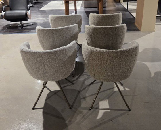 Image 1 of enset Nivara S/6