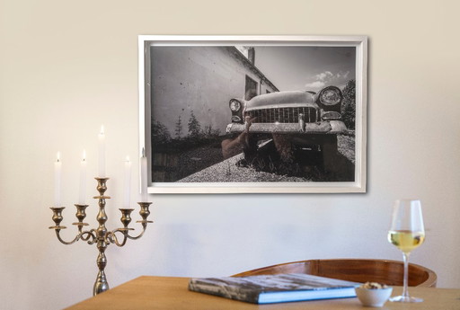 Gloria sbiadita - Virginia 2022