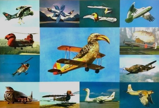 Martin Schwarz: Lithograph - edition of 350 - signed - numbered (70 x 50 cm)