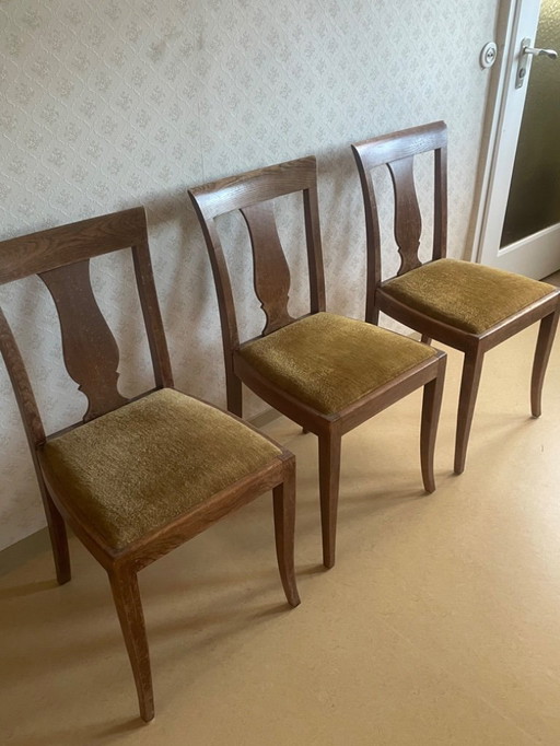 Harmonious mustard-colored Biedermeier chairs