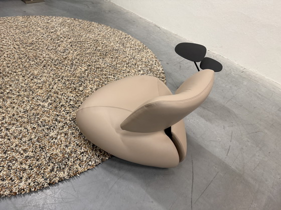 Image 1 of Leolux Pallone Pa Fauteuil Raffino Dove leer