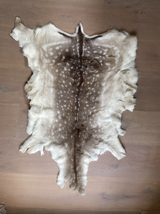 Image 1 of Damhertenhuiden wintervacht