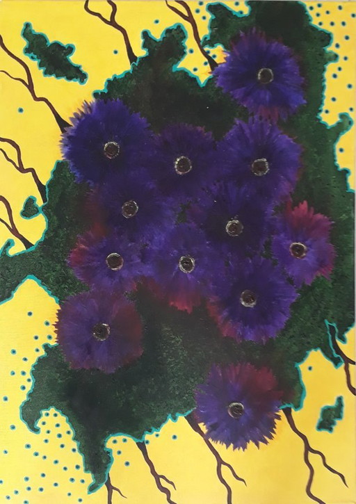 Oculi Australis, Eyes of the Stars