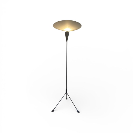 Image 1 of B211 floor lamp by Michel Buffet for Robert Mathieu