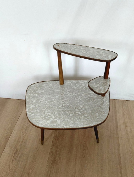 Image 1 of Gran mesa para plantas de los años 50