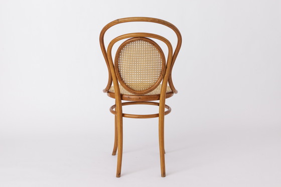 Image 1 of Rare Vintage Fischel Chair | 1920s-1940s | Restored Bentwood Seat | Antique Austrian Design