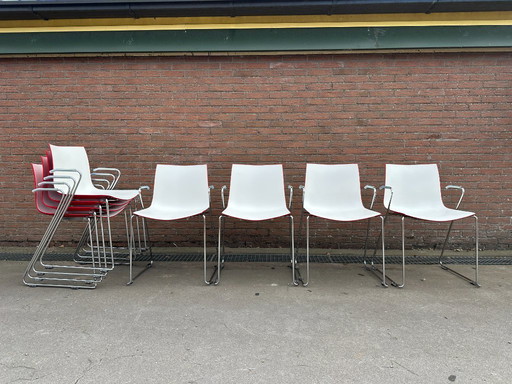 (8 pcs) Arper Catifa 46 chairs with armrests