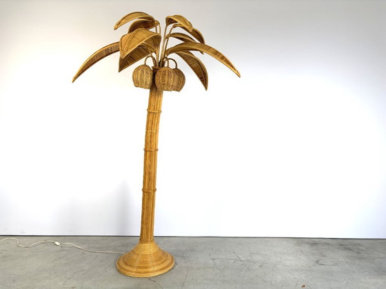 Lampada da terra vintage a palma, anni '70 - di Mario Lopez Torres, Lampade da terra, Rattan, Beige (foto 2 di 12)
