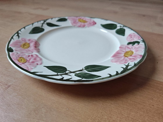 Image 1 of Vajilla Villeroy & Boch Wild Rose