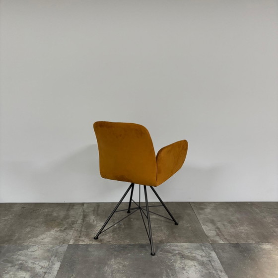 Image 1 of Nando 4er-Set